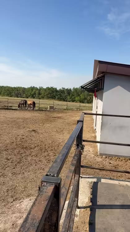 Paddock and stable