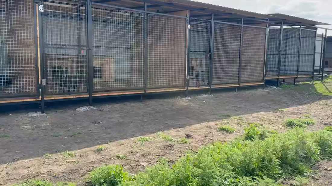 The enclosure row that is already full