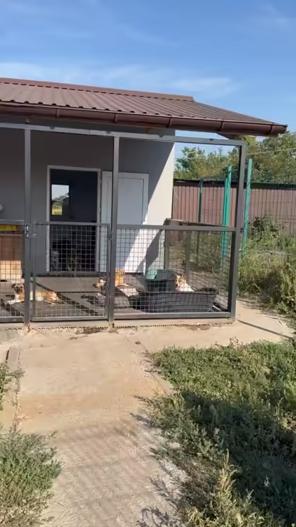 A partner shelter building with new enclosures