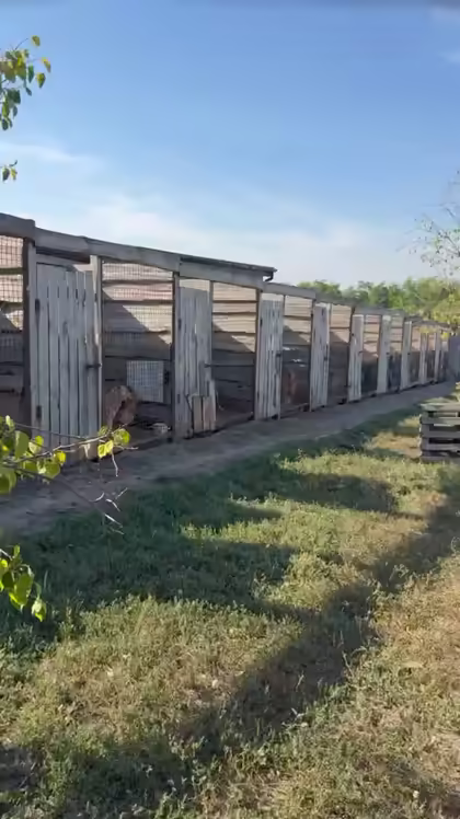 Wooden shelters in the field